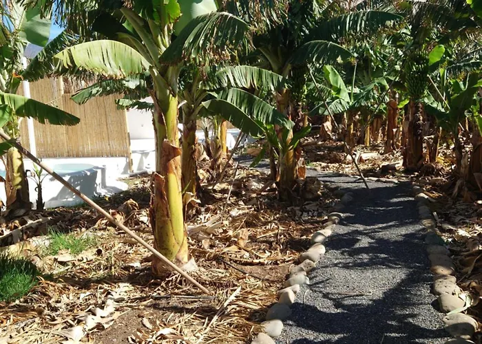 Finca Don Victor
